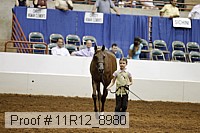11r12_8980 proof