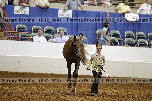 Proof 11r12_8981