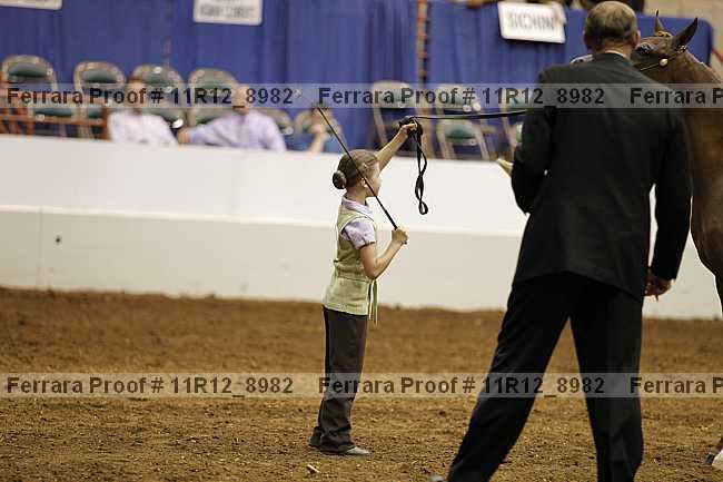 Proof 11r12_8982