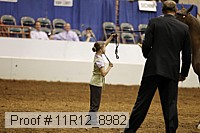 11r12_8982 proof