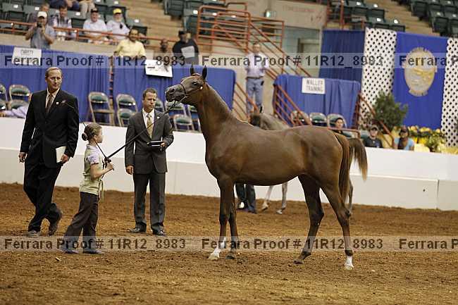 Proof 11r12_8983