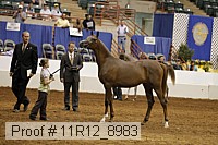 11r12_8983 proof