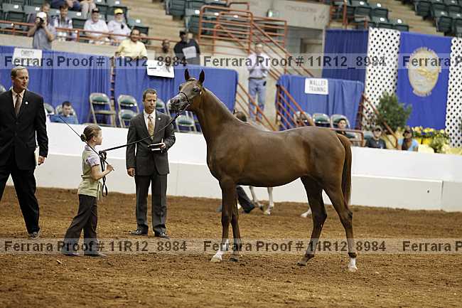 Proof 11r12_8984
