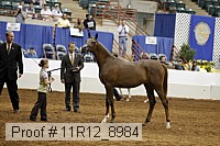 11r12_8984 proof
