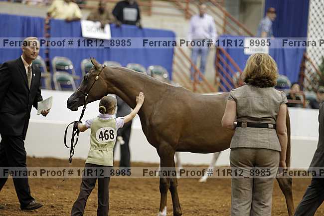 Proof 11r12_8985