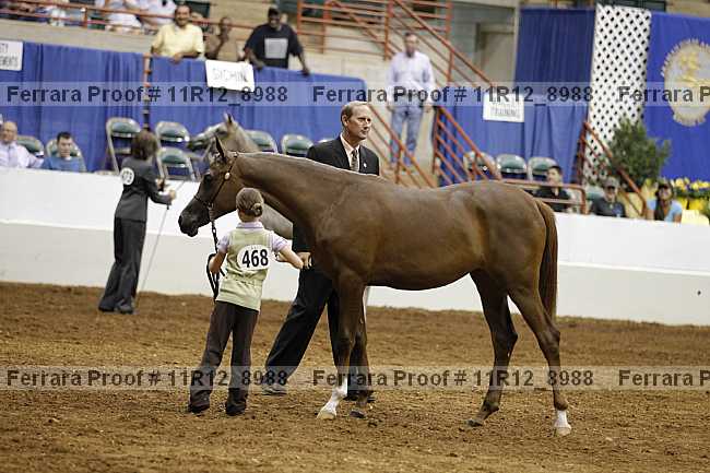 Proof 11r12_8988