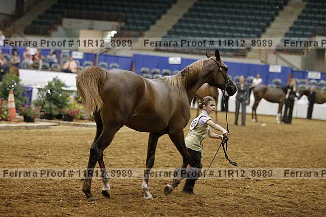 Proof 11r12_8989