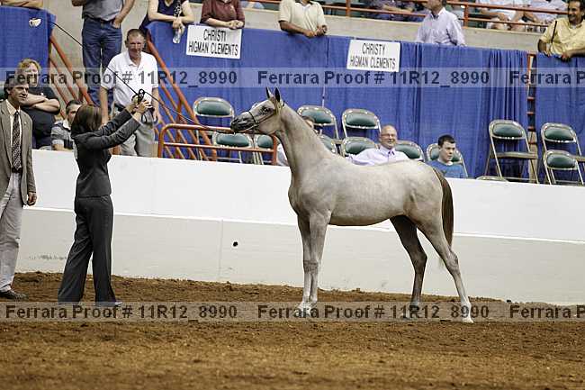 Proof 11r12_8990