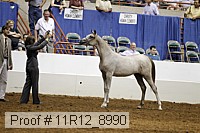 11r12_8990 proof