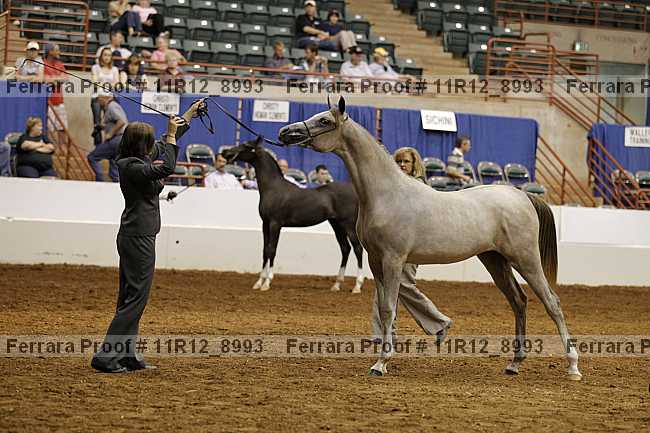 Proof 11r12_8993