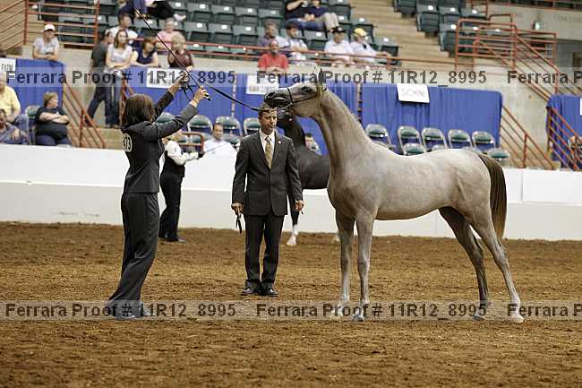 Proof 11r12_8995