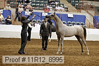 11r12_8995 proof