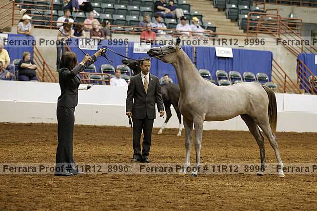 Proof 11r12_8996