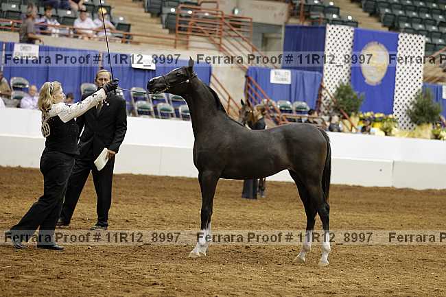 Proof 11r12_8997