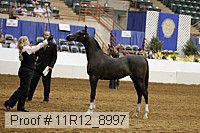 11r12_8997 proof