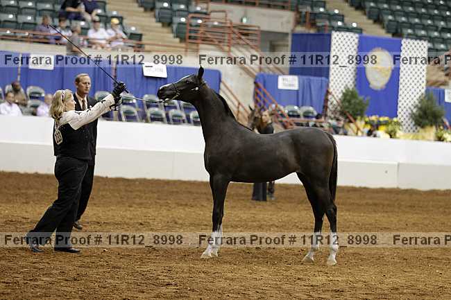 Proof 11r12_8998