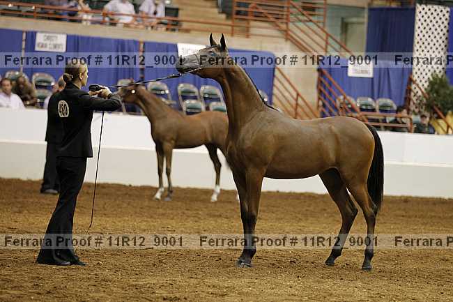 Proof 11r12_9001