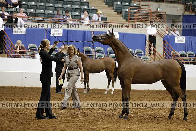 Proof 11r12_9003