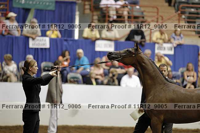 Proof 11r12_9005