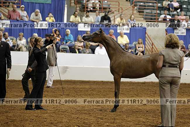 Proof 11r12_9006
