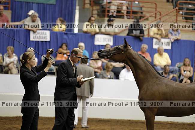 Proof 11r12_9007