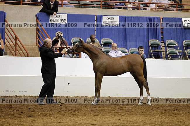 Proof 11r12_9009