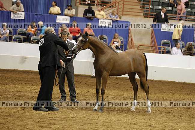 Proof 11r12_9011