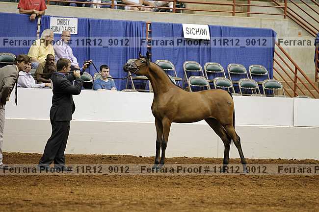 Proof 11r12_9012
