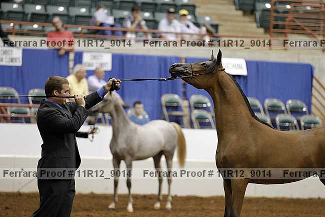 Proof 11r12_9014