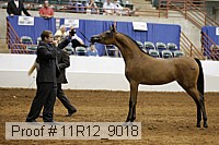 11r12_9018 proof