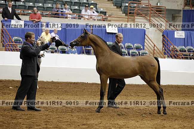 Proof 11r12_9019