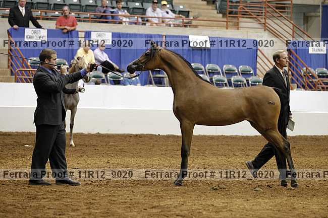 Proof 11r12_9020