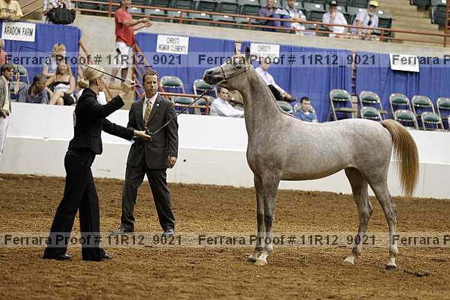 Proof 11r12_9021