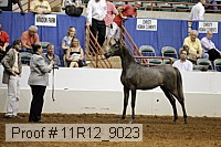 11r12_9023 proof
