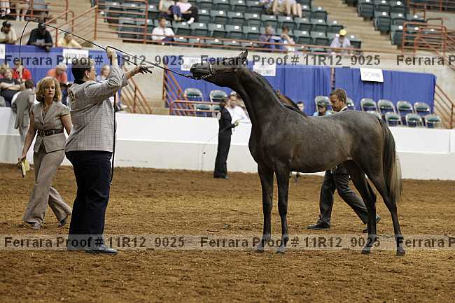 Proof 11r12_9025