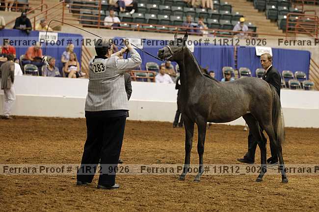 Proof 11r12_9026