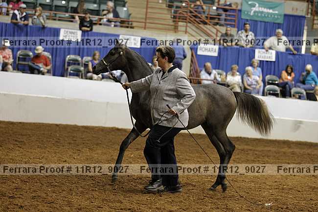 Proof 11r12_9027