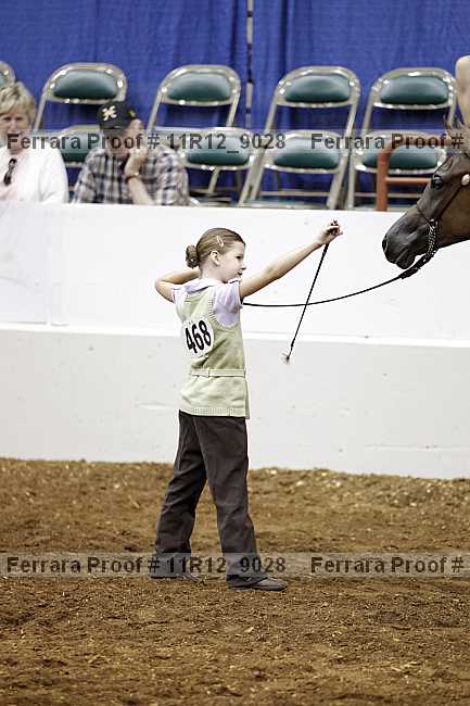 Proof 11r12_9028
