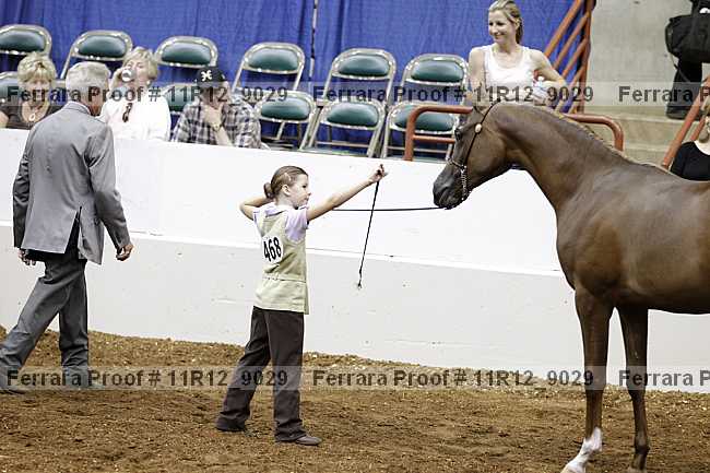Proof 11r12_9029