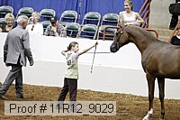 11r12_9029 proof