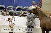 11r12_9031 proof