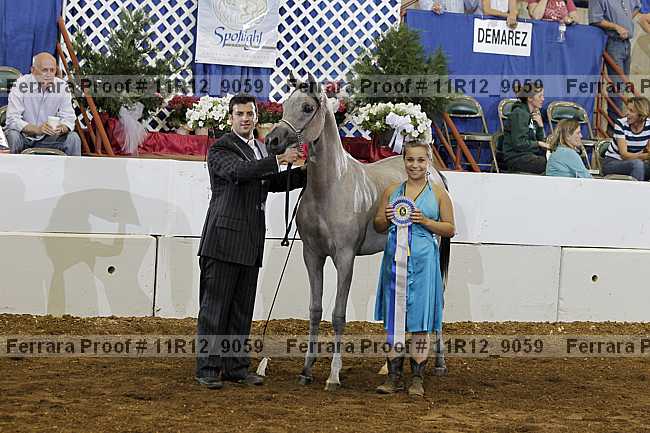 Proof 11r12_9059