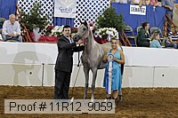 11r12_9059 proof