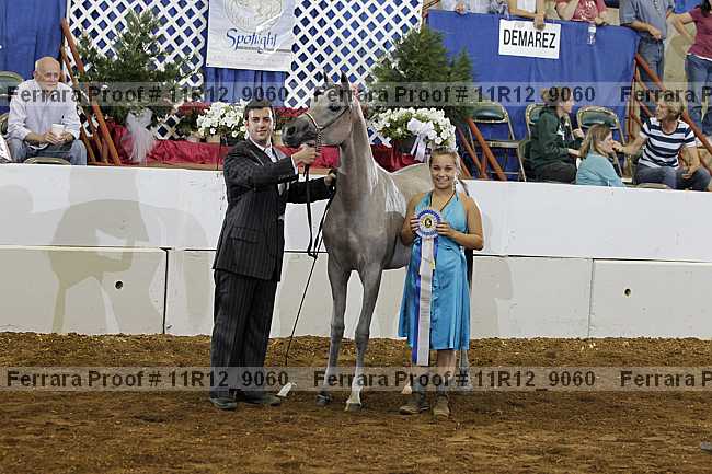 Proof 11r12_9060