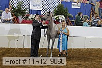11r12_9060 proof