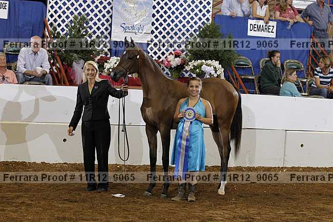 Proof 11r12_9065