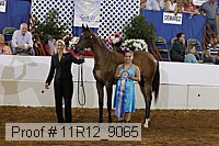 11r12_9065 proof