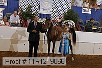 11r12_9066 proof