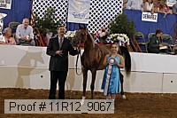 11r12_9067 proof