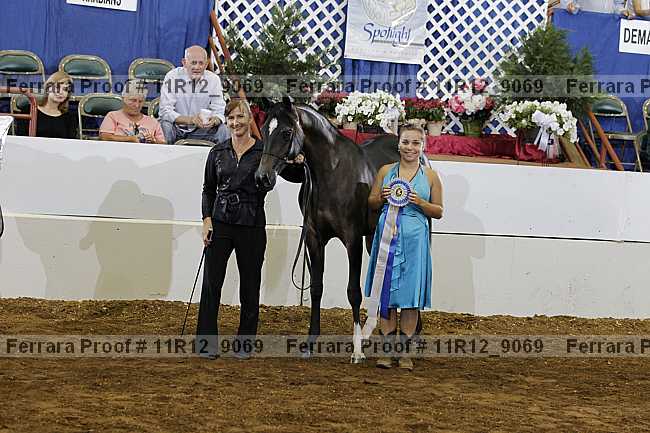 Proof 11r12_9069